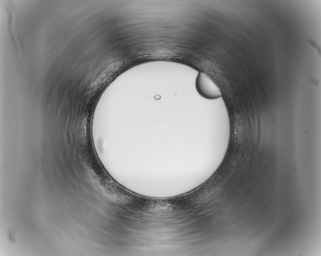 X0000102040206200808151414
