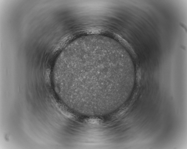 X0000102040209200808151414