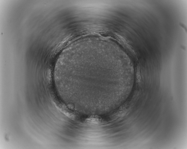 X0000102040211200808151414