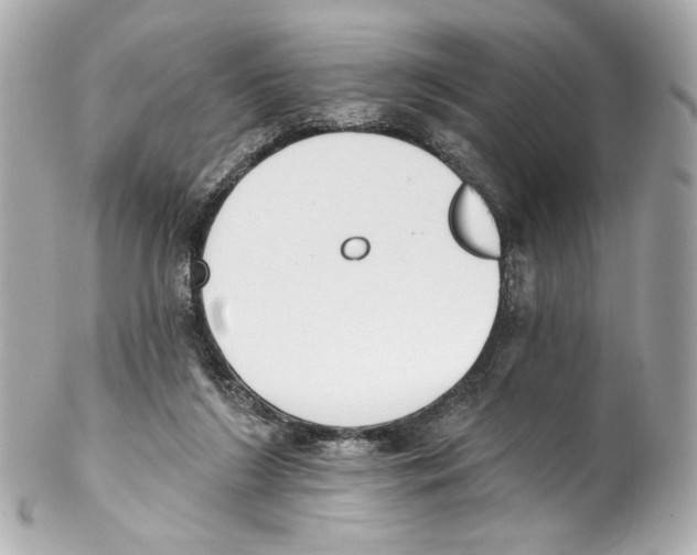 X0000102040212200808151414