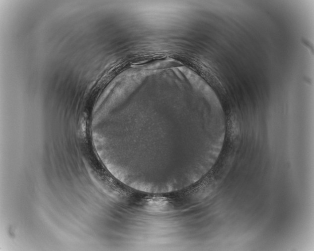 X0000102040214200808151414