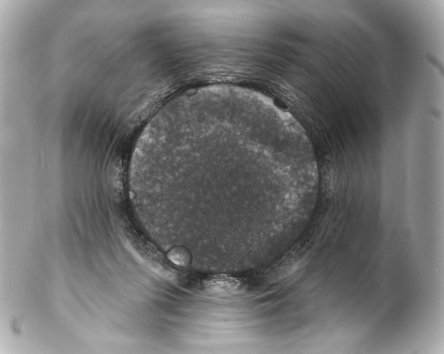 X0000102040215200808151414