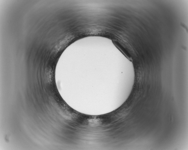 X0000102040216200808151414
