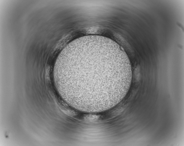 X0000102040217200808151414
