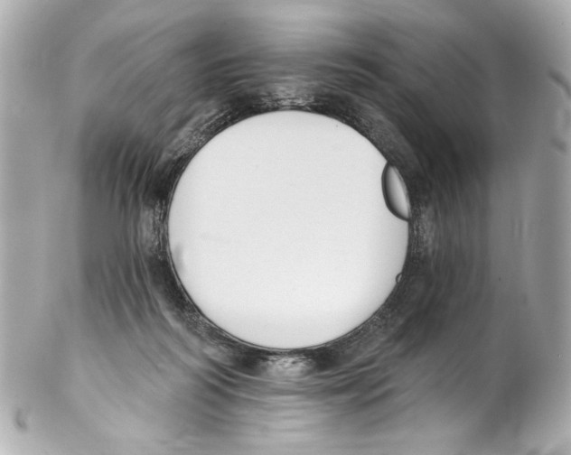 X0000102040218200808151414