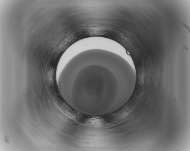 X0000102040219200808151414