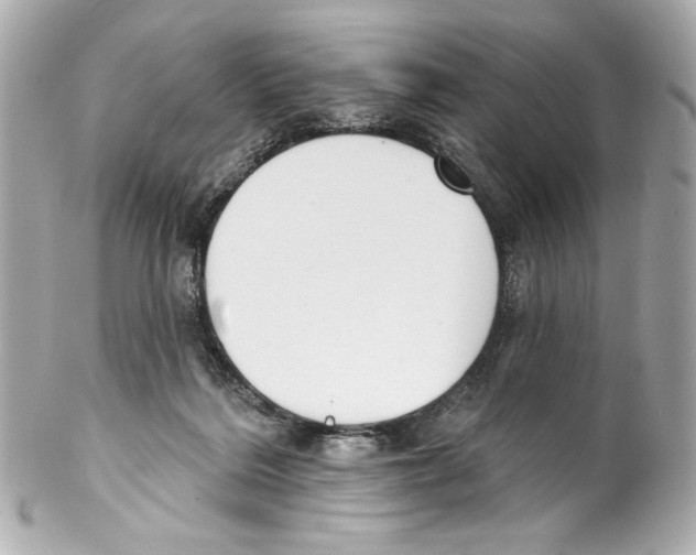 X0000102040220200808151414