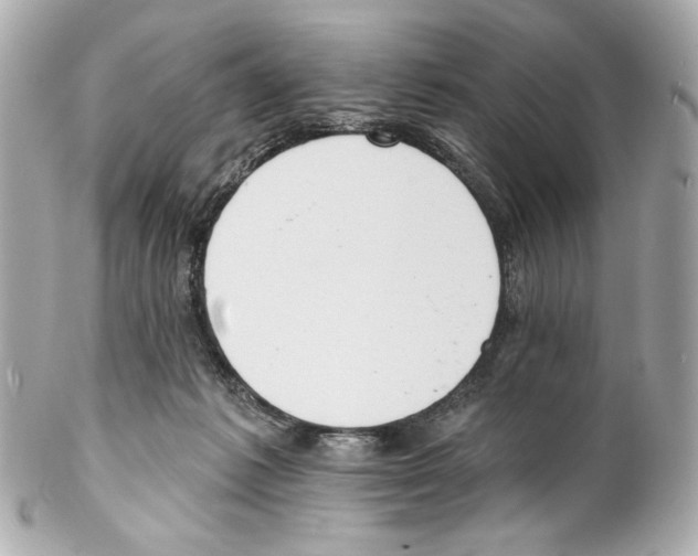 X0000102040221200808151414