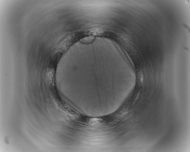 X0000102040222200808151414