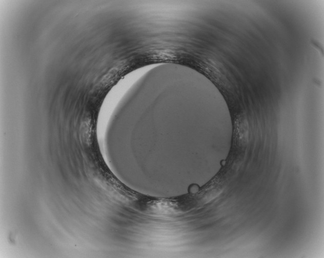 X0000102040223200808151414