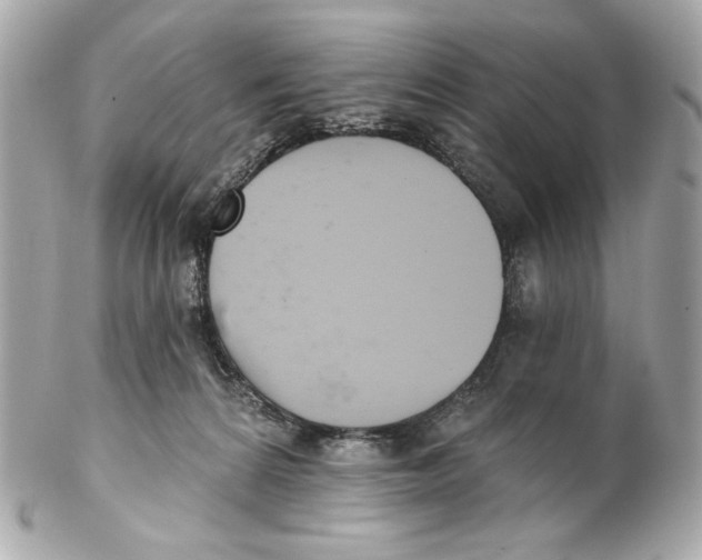 X0000102040224200808151414