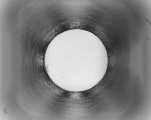 X0000102040226200808151414