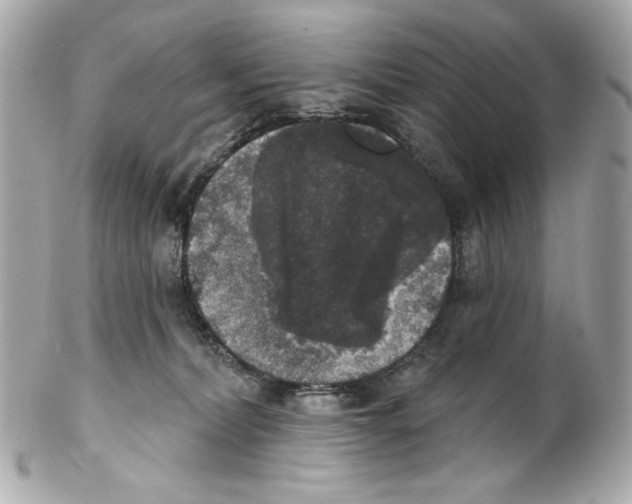 X0000102040228200808151414