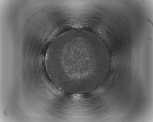 X0000102040229200808151414