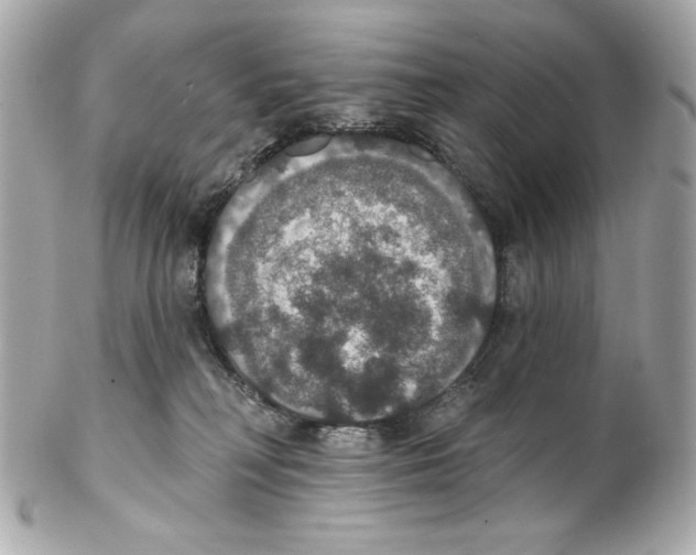X0000102040230200808151414