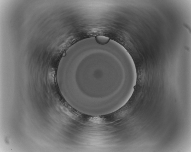X0000102040231200808151414