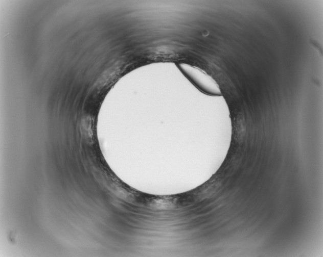 X0000102040232200808151414