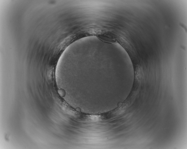 X0000102040233200808151414