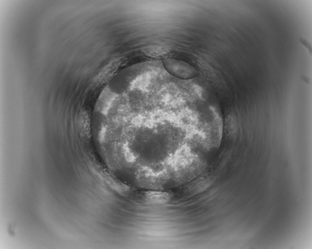 X0000102040234200808151414