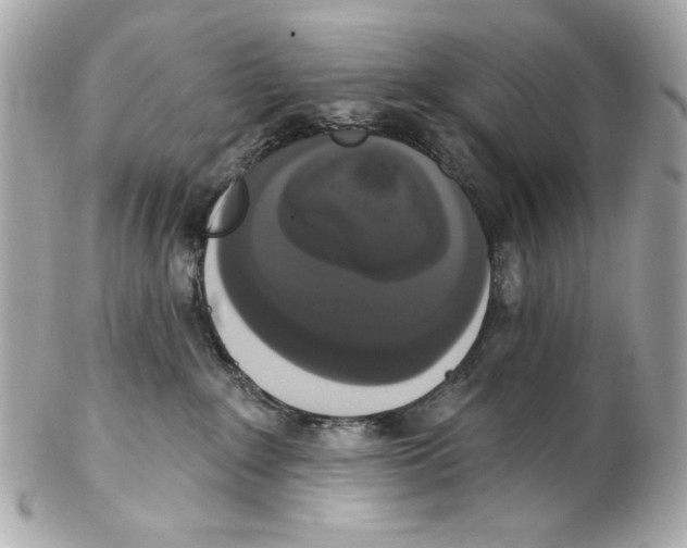 X0000102040235200808151414
