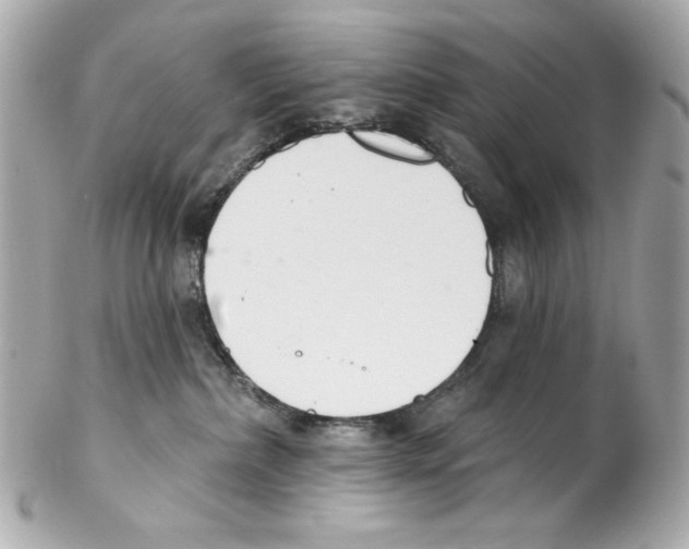 X0000102040236200808151414