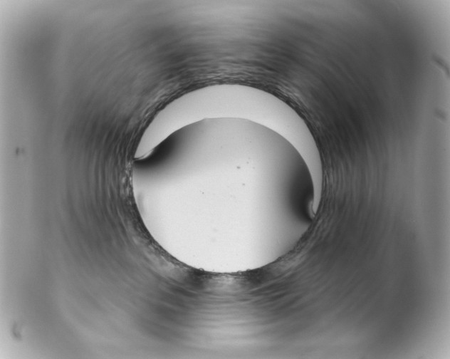 X0000102040237200808151414