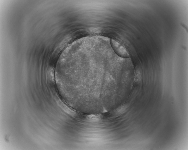 X0000102040238200808151414