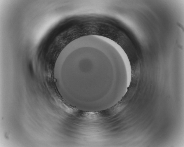 X0000102040239200808151414