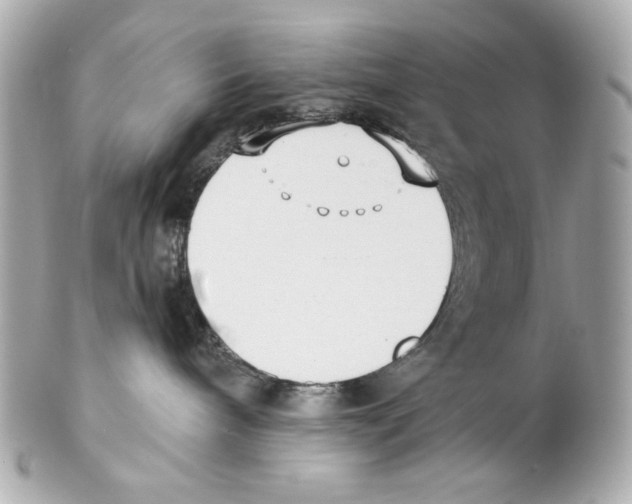 X0000102040240200808151413
