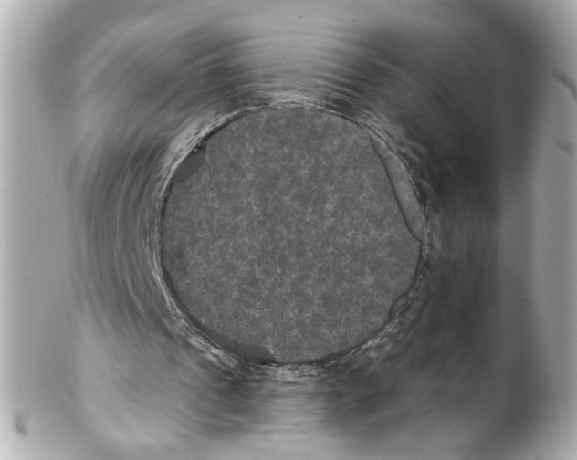 X0000102040241200808151413
