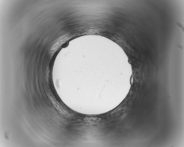 X0000102040242200808151413