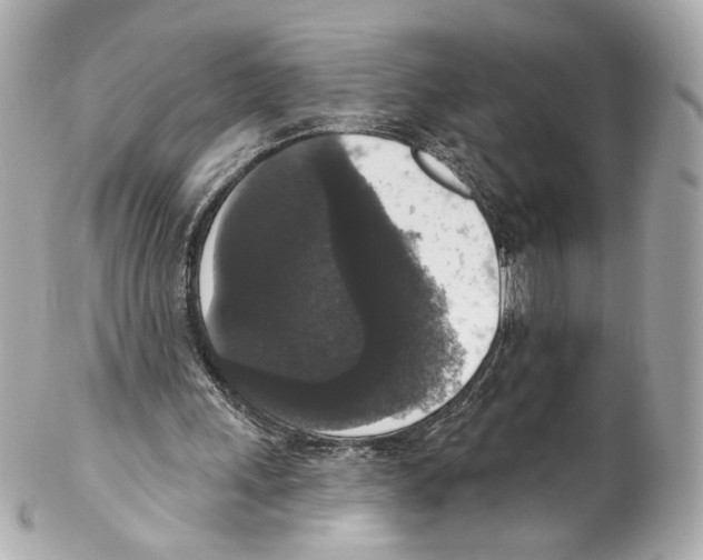 X0000102040243200808151413
