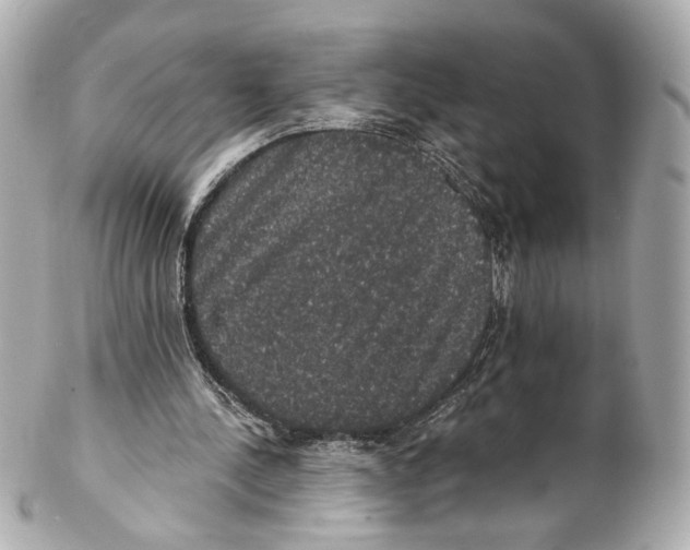 X0000102040244200808151413