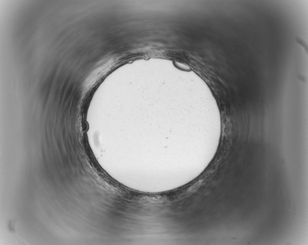 X0000102040245200808151413