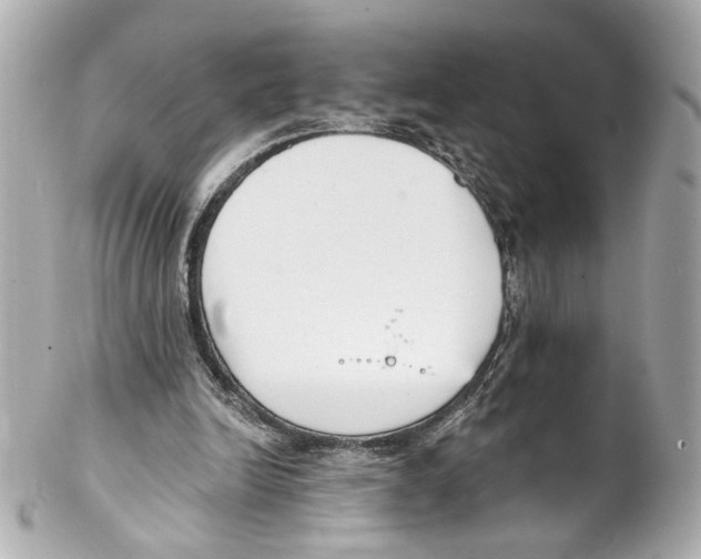 X0000102040246200808151413