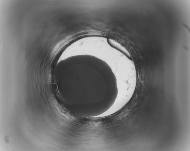 X0000102040247200808151413