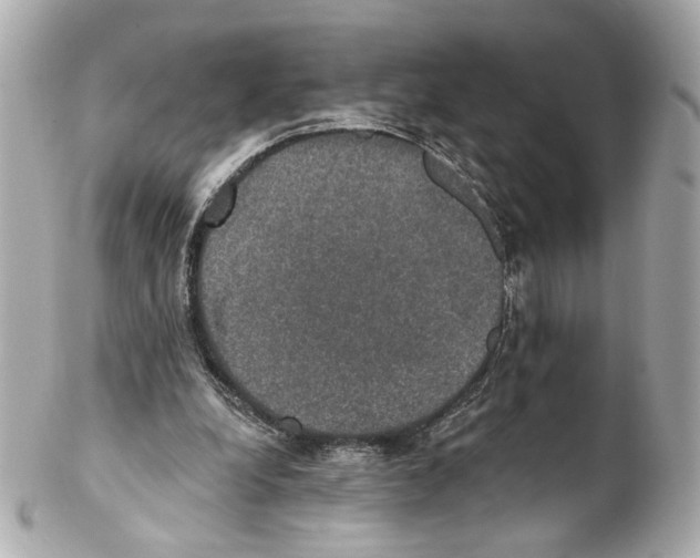 X0000102040248200808151413