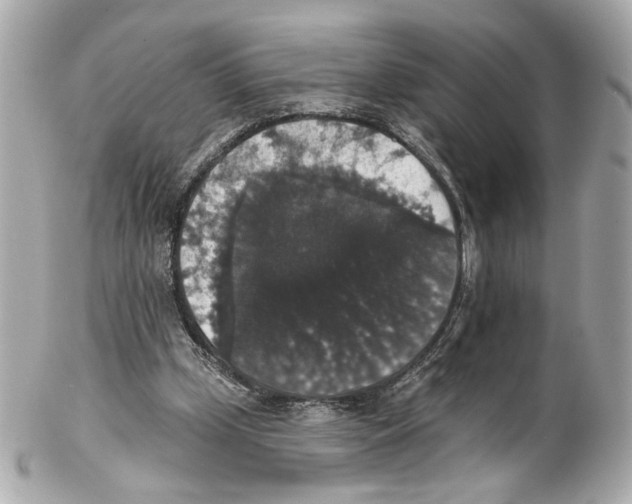 X0000102040249200808151413