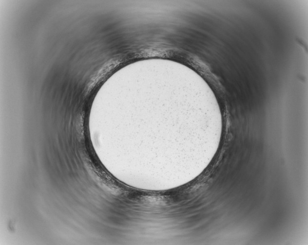 X0000102040250200808151413