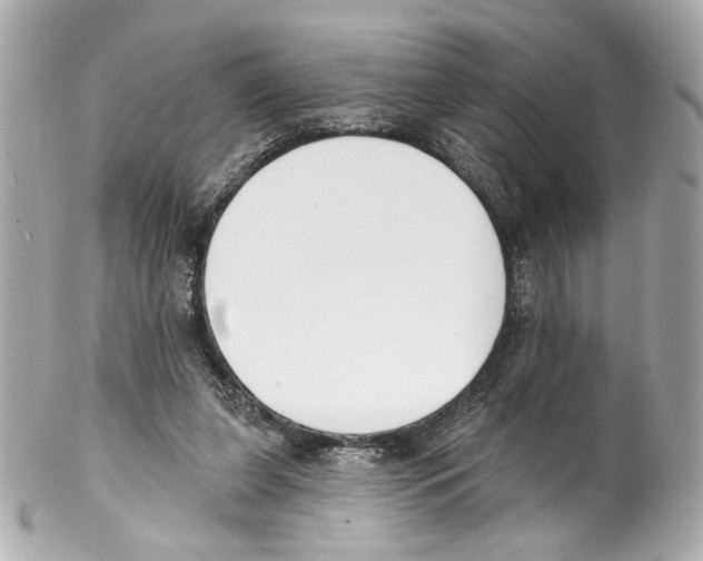 X0000102040255200808151413