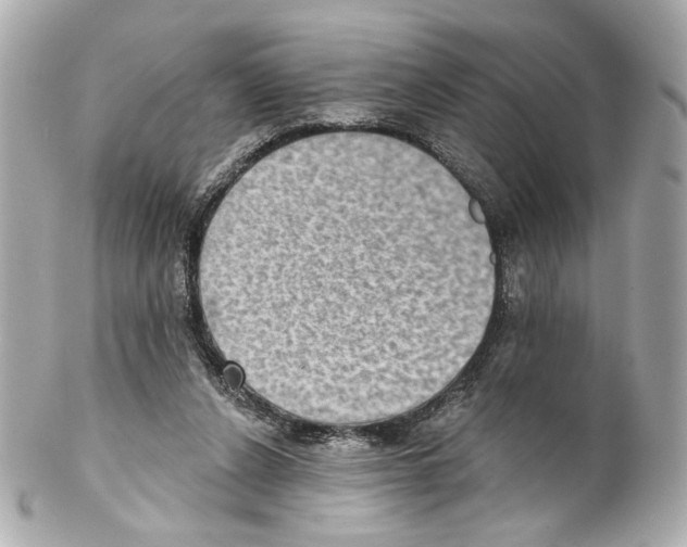 X0000102040256200808151413