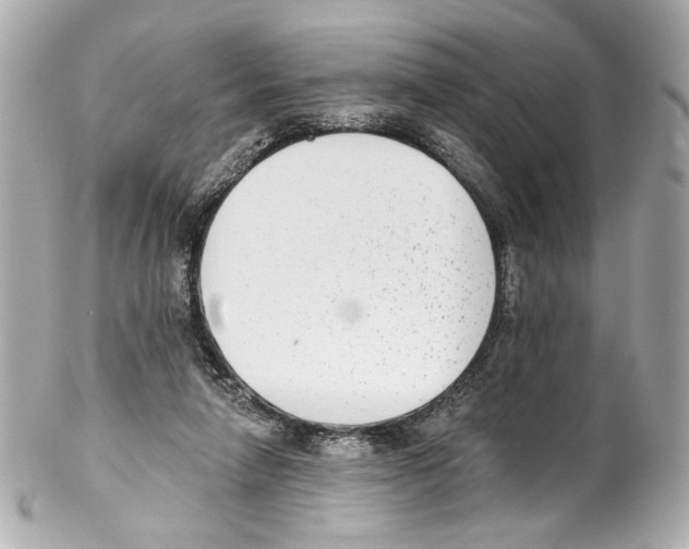 X0000102040258200808151413