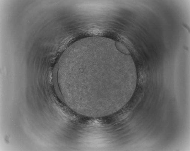 X0000102040259200808151413