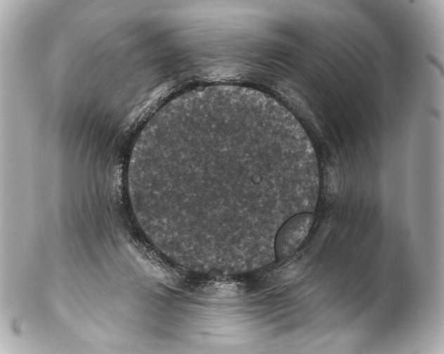 X0000102040260200808151413
