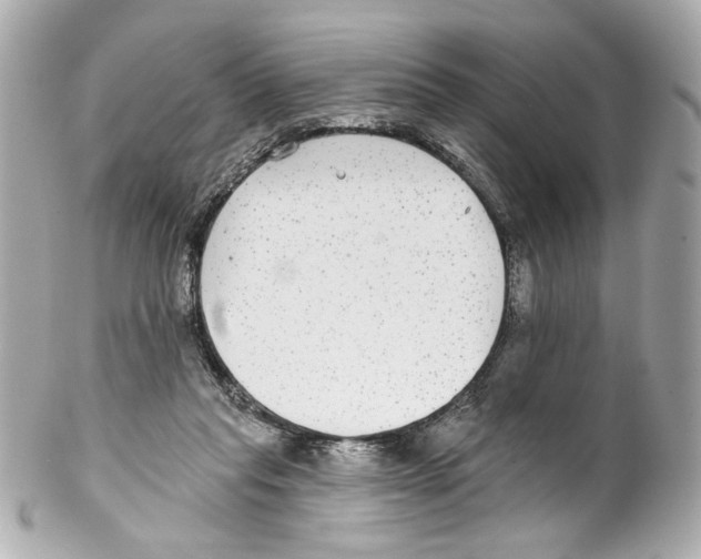 X0000102040261200808151413