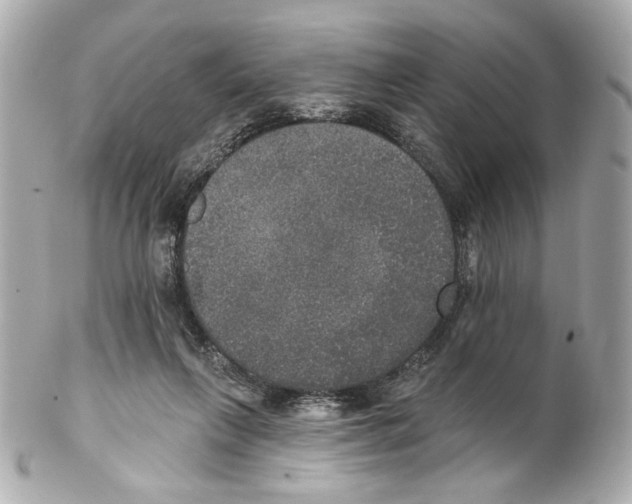 X0000102040263200808151413