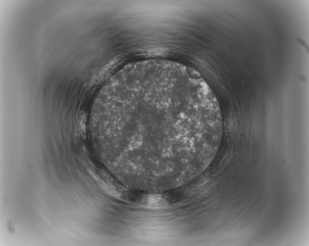 X0000102040264200808151413