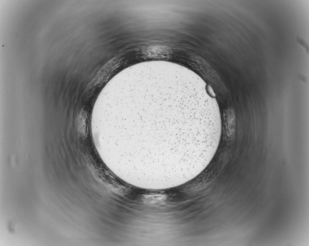 X0000102040266200808151413