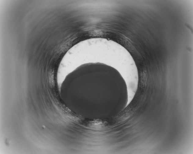 X0000102040267200808151413