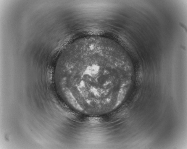X0000102040268200808151413